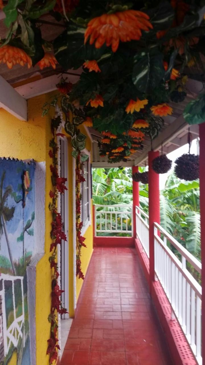 Posada Nativa Licy San Andres  Exterior photo